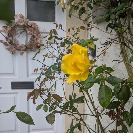 Forge End * Middleham